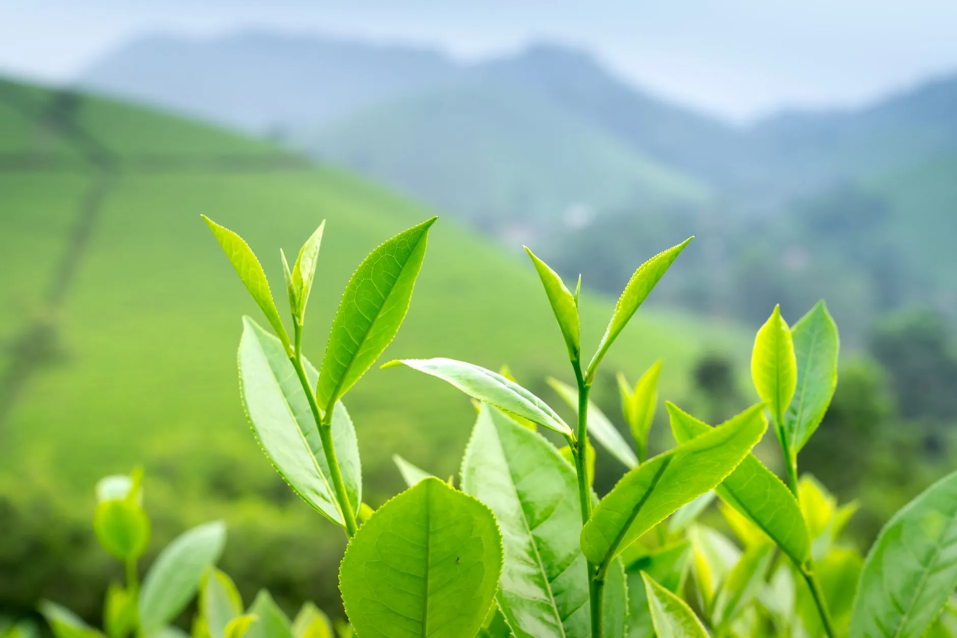 泉州电商仓配服务流程优化：郝先生供应链的精细化管理实践