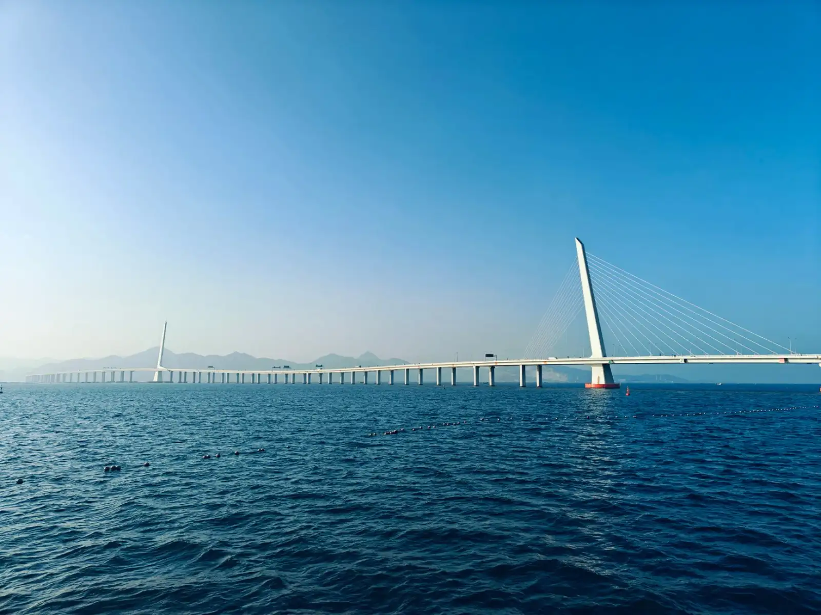2024年电商仓配物流行业趋势分析与技术升级路径
